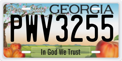GA license plate PWV3255