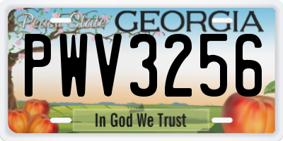 GA license plate PWV3256