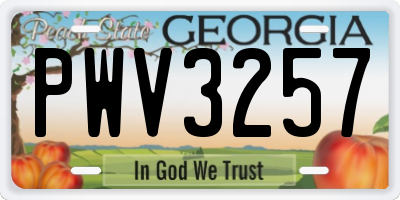 GA license plate PWV3257