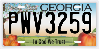 GA license plate PWV3259
