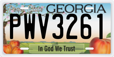GA license plate PWV3261
