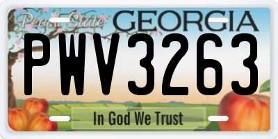 GA license plate PWV3263