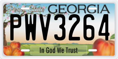 GA license plate PWV3264