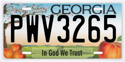 GA license plate PWV3265