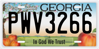 GA license plate PWV3266