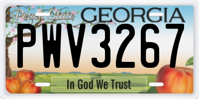 GA license plate PWV3267