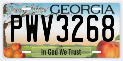 GA license plate PWV3268