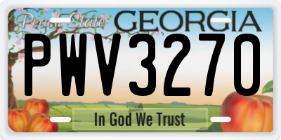 GA license plate PWV3270