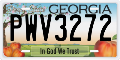 GA license plate PWV3272