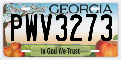 GA license plate PWV3273
