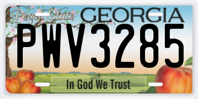 GA license plate PWV3285
