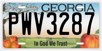 GA license plate PWV3287