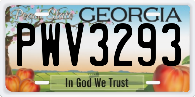 GA license plate PWV3293