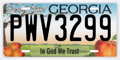 GA license plate PWV3299