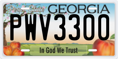GA license plate PWV3300