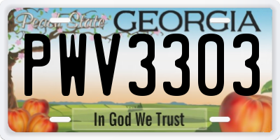 GA license plate PWV3303