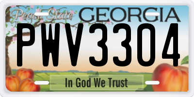 GA license plate PWV3304