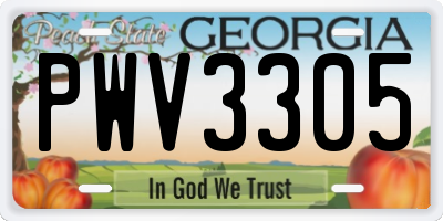 GA license plate PWV3305