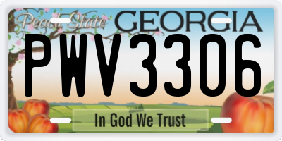 GA license plate PWV3306