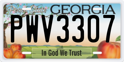 GA license plate PWV3307