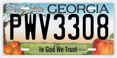 GA license plate PWV3308