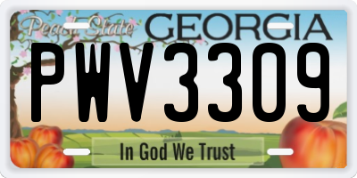 GA license plate PWV3309