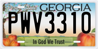 GA license plate PWV3310
