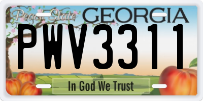 GA license plate PWV3311