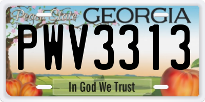 GA license plate PWV3313