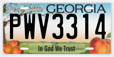 GA license plate PWV3314
