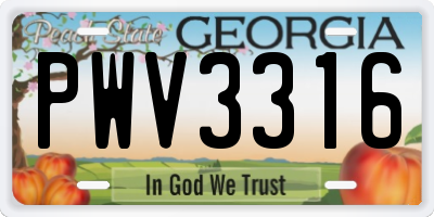 GA license plate PWV3316
