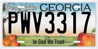 GA license plate PWV3317