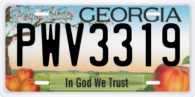 GA license plate PWV3319