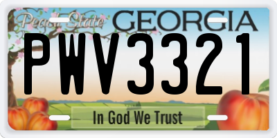 GA license plate PWV3321