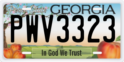GA license plate PWV3323