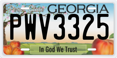 GA license plate PWV3325