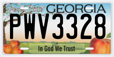 GA license plate PWV3328