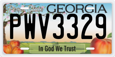 GA license plate PWV3329