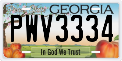 GA license plate PWV3334