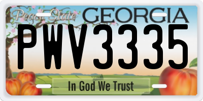 GA license plate PWV3335