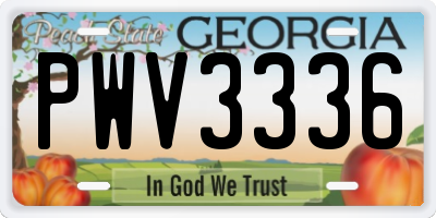 GA license plate PWV3336