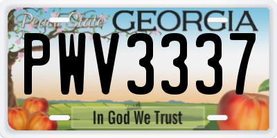 GA license plate PWV3337