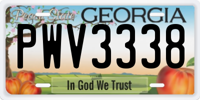 GA license plate PWV3338