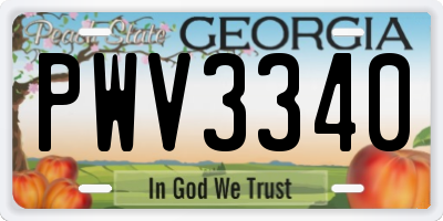 GA license plate PWV3340