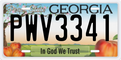 GA license plate PWV3341
