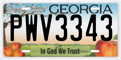 GA license plate PWV3343