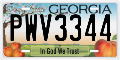 GA license plate PWV3344