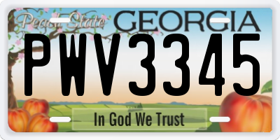 GA license plate PWV3345