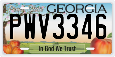 GA license plate PWV3346