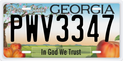 GA license plate PWV3347